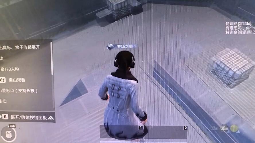 和平精英科技辅助免费苹果版本（和平精英科技辅助如何影响游戏的公平性？）